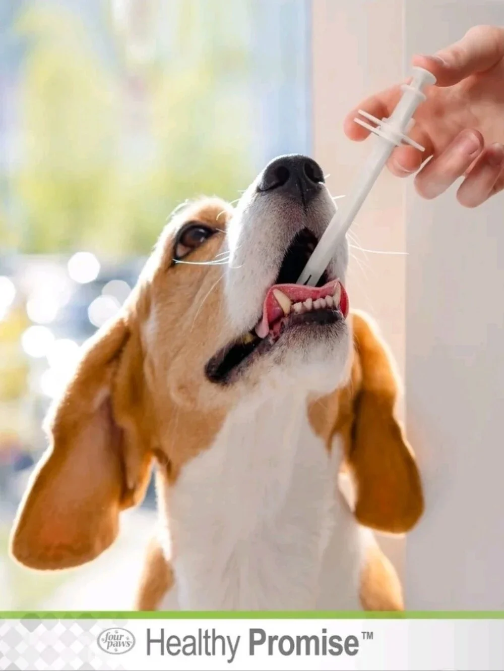 Pet Pill Dispenser